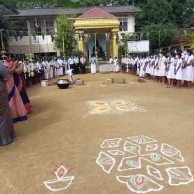 272071532 328361445965295 291408012369172286 N