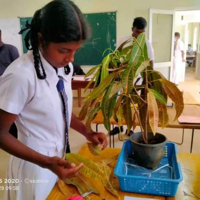 Fb Img 1670591500992